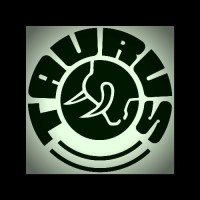 Taurus Call Centre co.ltd logo - Similar company to Commserv, Inc.