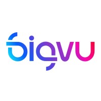 BIGVU logo - Similar company to Helpmate Programming Solutions