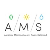 AMS Consultores logo - Similar company to Xpe Consult Spa