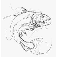 Coast and Kitchen logo - Similar company to Premiumfish Sl