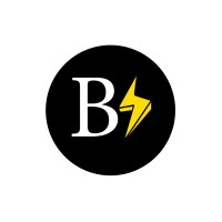 Blaized & The Blaized Agency logo - Similar company to Dundas Management