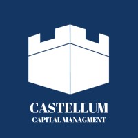 Castellum Capital Management logo - Similar company to Pso - Knowledge & Communication