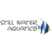 Still Water Aquatics logo - Similar company to Aqua Design Group