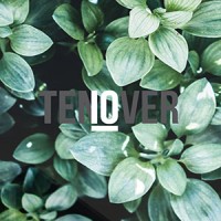 TEN OVER LANDSCAPE logo - Similar company to Schaefer Custom Homes