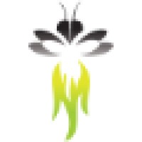 Firefly Marketing logo - Similar company to Mindful Line