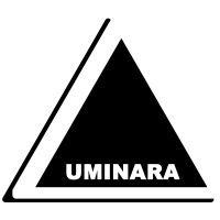 Luminara Global Consulting logo - Similar company to Bleeding Edge Capital