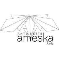 Antoinette Ameska logo - Similar company to Magellan Transit Déménagement International