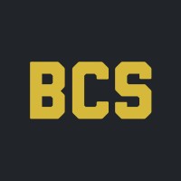 Bucharest Cram School logo - Similar company to Securifai