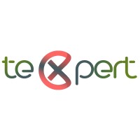 Texpert Systems LLC logo - Similar company to Cyberdata (Private) Limited