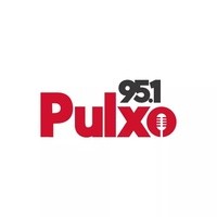 Pulxo 95.1 logo - Similar company to Ossana