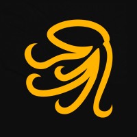 Polvo Sports