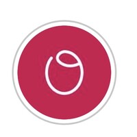 OLIVO AMIGO logo - Similar company to Cronicle