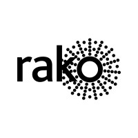 Rako Controls Ltd logo - Similar company to Rithum