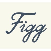 Figg logo - Similar company to Pugsy Studios