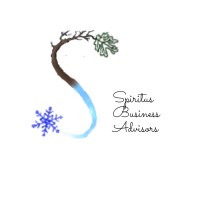 Spiritus Business Advisors, LLC logo - Similar company to Compliance View 360