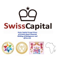 WORLD VIEW AFRICA logo - Similar company to Epstein Philanthropies