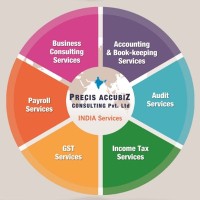 Precis Accubiz Private Limited