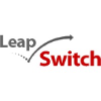 LeapSwitch Networks logo - Similar company to Blue Star Data