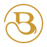 Baron Architecure logo - Similar company to Baron Architecture