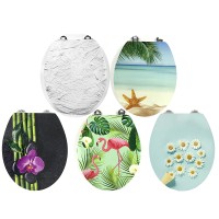 NINGBO BOFAN SANITARY WARE CO.,LTD logo - Similar company to Grandy & Associates