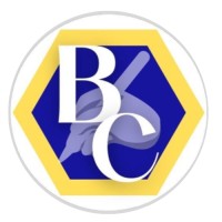 Bring Changes logo - Similar company to Globalpoint Capital