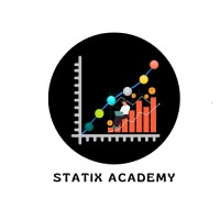 Statix Academy logo - Similar company to Finstat