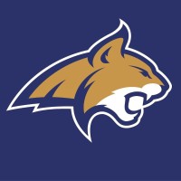 Montana State University Athletics logo - Similar company to Infinite Choice