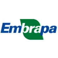 Embrapa Arroz E Feijao