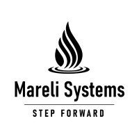 Mareli Systems logo - Similar company to Tesy