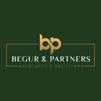 BEGUR & PARTNERS logo - Similar company to Mzm Group Llc