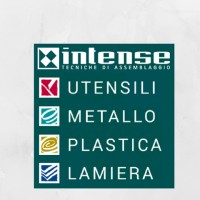 Intense S.r.l. Tecniche di Assemblaggio logo - Similar company to Tools Distribution Srl
