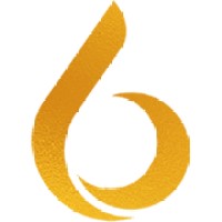 6Steps.io - Your Pathway to Digital Excellence logo - Similar company to Adhiran Infotech