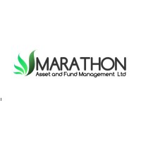 Marathon Asset and Fund Management Limited logo - Similar company to Usesettla
