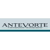 ANTEVORTE Performance Management GmbH & Co. KG logo - Similar company to Nova Stratex