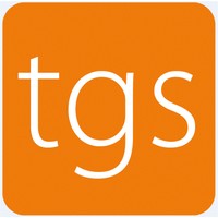 TGS Edisa logo - Similar company to B Law & Tax