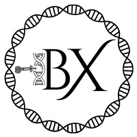BioTecX logo - Similar company to Saar Zenith Solutions