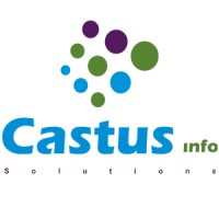 Castus Info Solutions Pvt Ltd logo - Similar company to Rivan Solutions