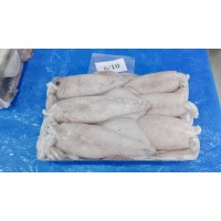 SEA SHINE OVERSEAS logo - Similar company to Minaba Seafood Group