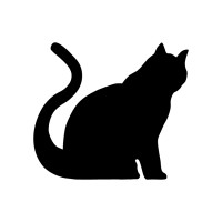 Pipis Films 🎥 logo - Similar company to Pepa Films