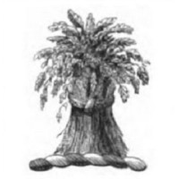 Balfour, Williamson & Co. Limited logo - Similar company to Zanda Partners