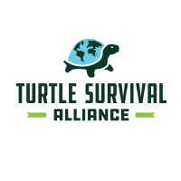 Turtle Survival Alliance logo - Similar company to India Turtle Conservation Program