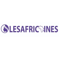 LESAFRICAINES.NET logo - Similar company to Npoint Communication