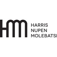 Harris Nupen Molebatsi Inc. logo - Similar company to Hnm Technologies