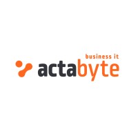 Actabyte logo - Similar company to Anl It
