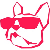 Bold Creators Club TikTok agency logo - Similar company to Anymous