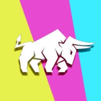 Baby Bull Racing logo - Similar company to Troyes Racing Team