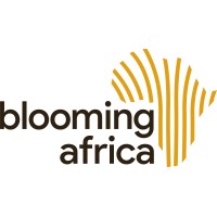 Blooming Africa logo - Similar company to Timaflor
