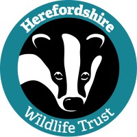 Herefordshire Wildlife Trust logo - Similar company to Calahe Environmental Consultancy Services