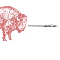 Tip of the Spear Strategies, LLC logo - Similar company to Chalmers, Adams, Backer & Kaufman Llc