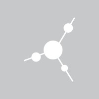 Polyscope Polymers, a Vertellus™ company logo - Similar company to Vertellus